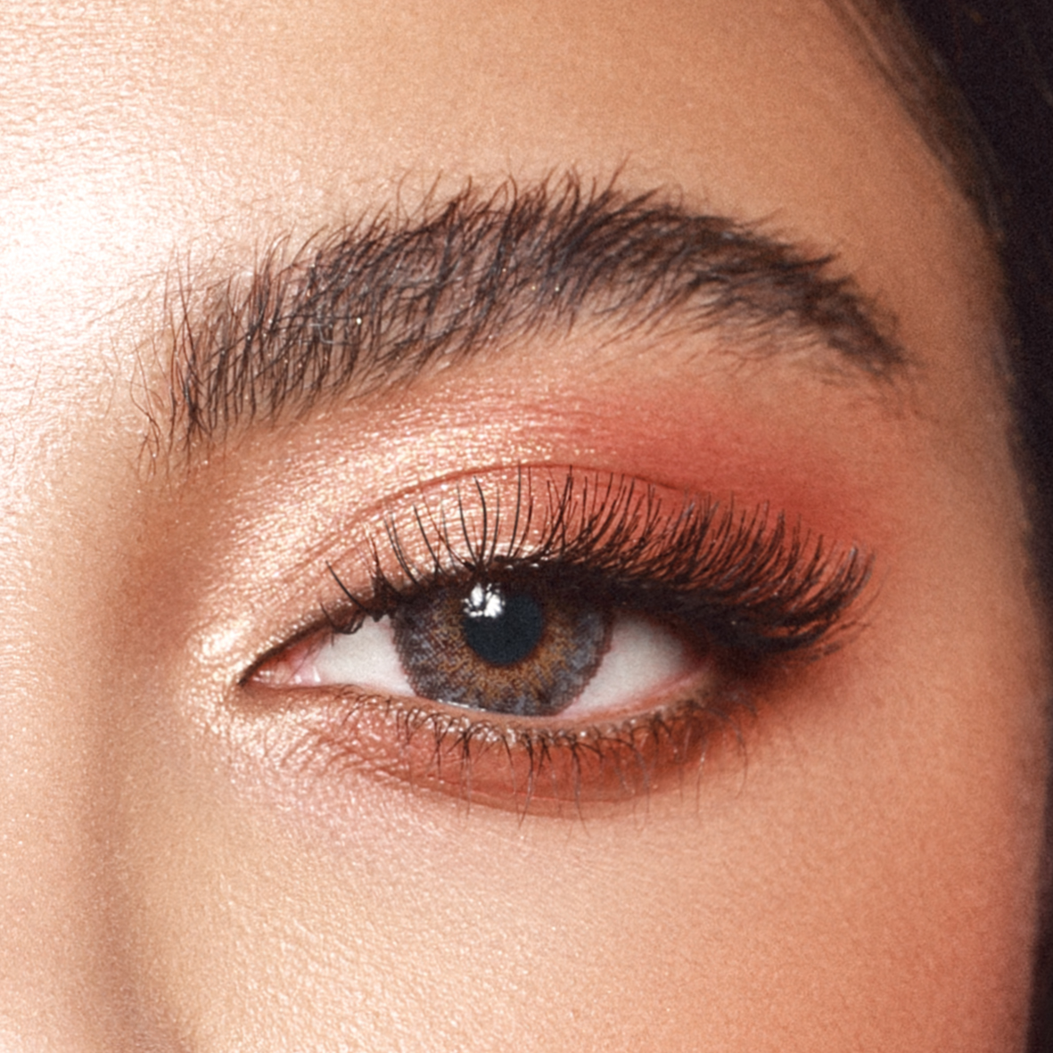 Amara Crème Brûlée