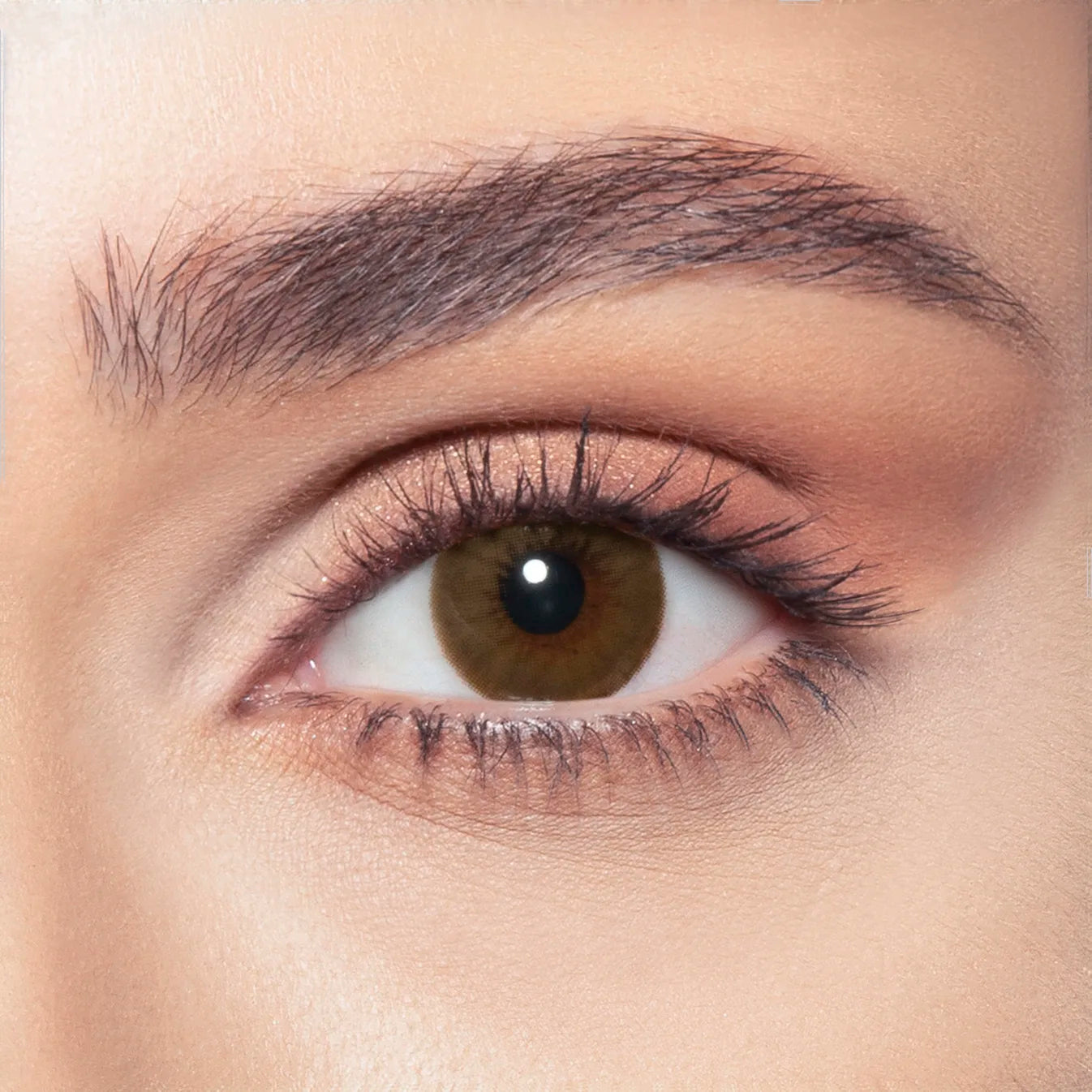 Bella Brown Shadow