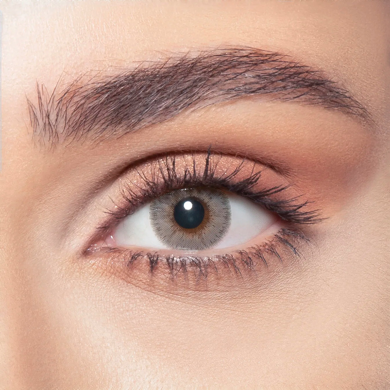 Bella Gray Beige